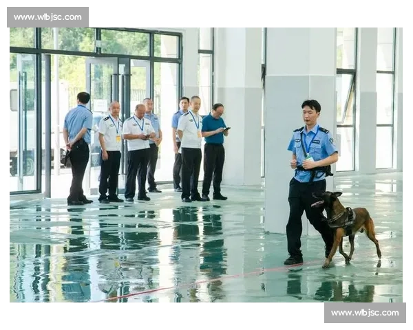 警犬竞技大赛精彩纷呈 展现忠诚与智慧的极限对决
